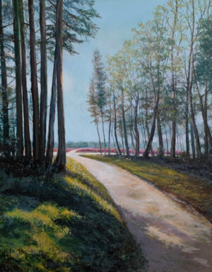 Bospad naar de heide